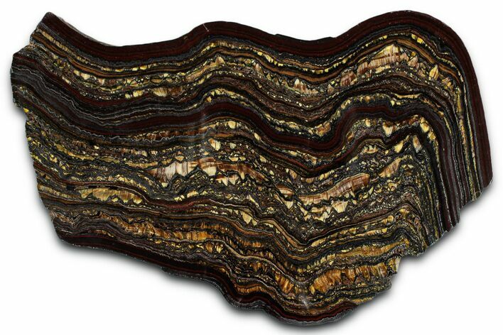 Polished Tiger Iron Stromatolite Slab - Billion Years #351804